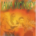 Java Monkey Band